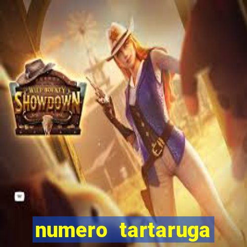 numero tartaruga jogo do bicho